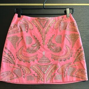 Blue Rain Embroidered Mini Skirt